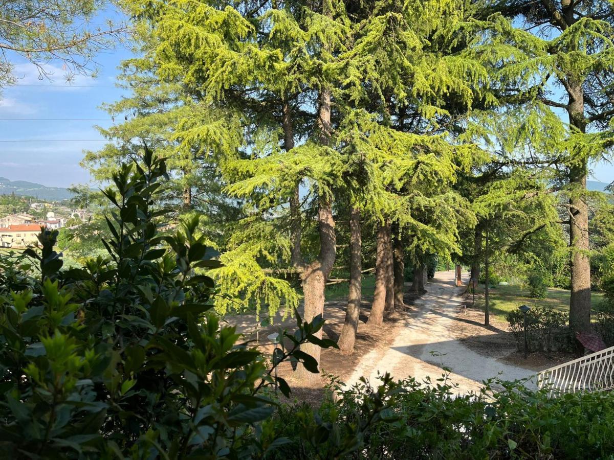 Secret Garden Egle Villa Caprino Veronese Dış mekan fotoğraf