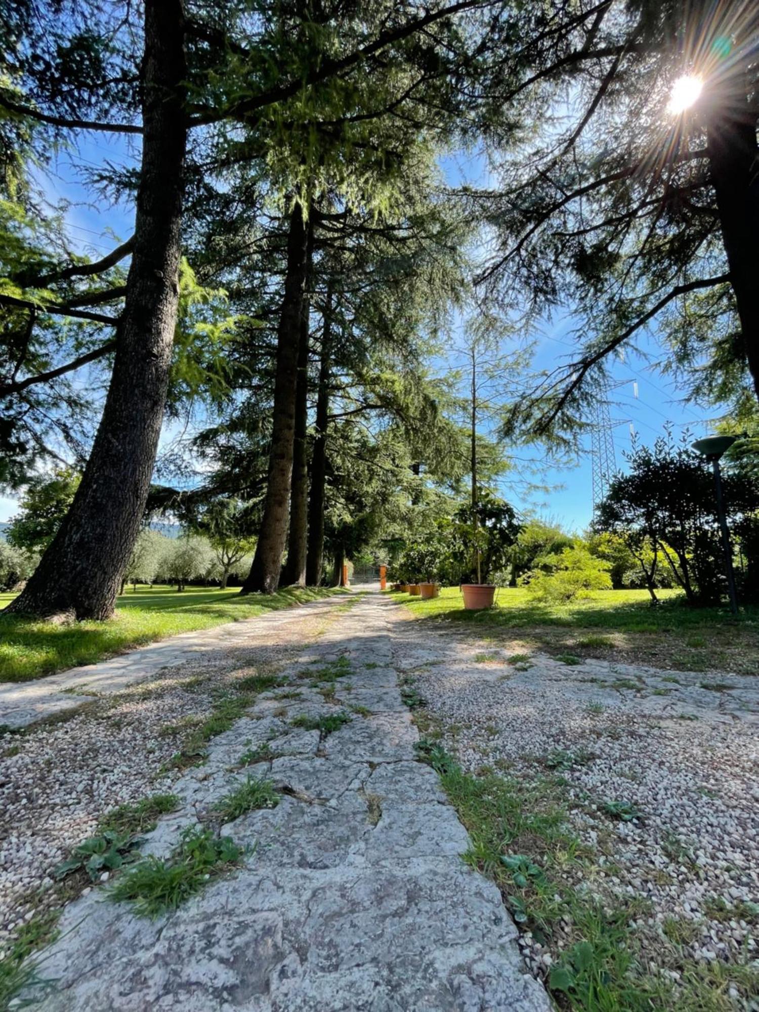 Secret Garden Egle Villa Caprino Veronese Dış mekan fotoğraf